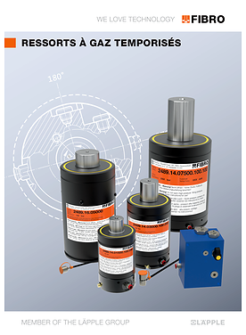 Ressorts à gaz temporisés | Catalogue de produits