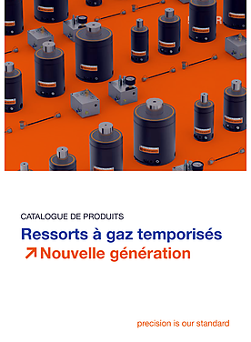 Ressorts à gaz temporisés Nouvelle génération | Catalogue de produits 