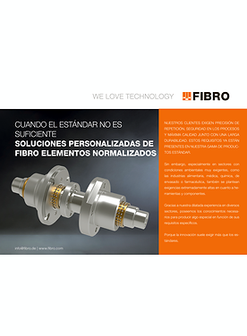 Flyer - Cuando el estándar no es suficiente soluciones personalizadas de FIBRO elementos normalizados | Vista general
