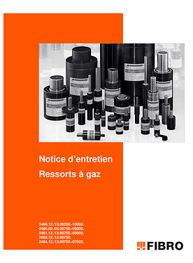 Ressorts à gaz 2480.1x./9x.-2484.1x. | Notice d’entretien