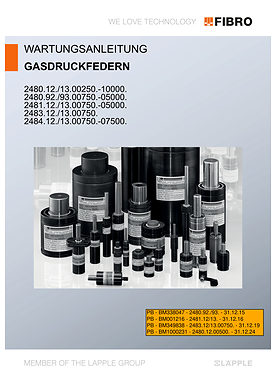 Gasdruckfedern 2480.1x./9x.-2484.1x. | Wartungsanleitung