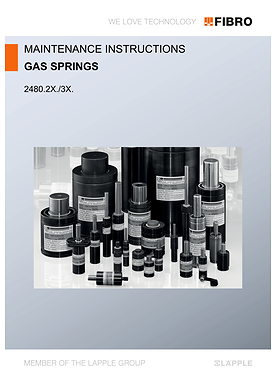 Gas springs 2480.2X./3X. | Maintenance instructions
