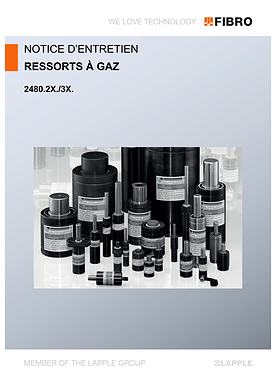 Ressorts à gaz 2480.2X./3X. | Notice d’entretien