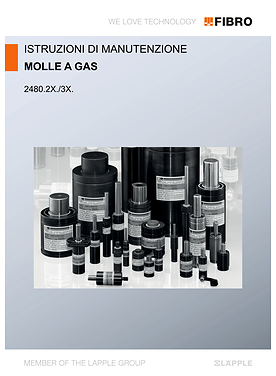 Molle a gas 2480.2X./3X. | Istruzioni di manutenzione