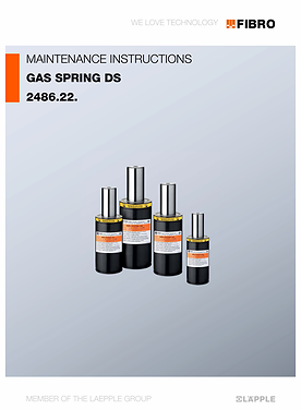 Gas Springs DS 2486.22. | Maintenance instructions