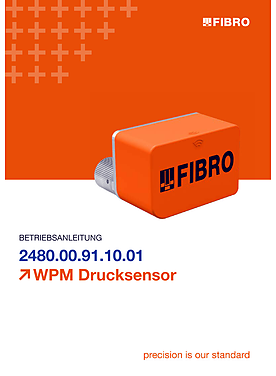 WPM-Drucksensor 2480.00.91.10.01 | Bedienungsanleitung