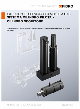 Sistema Cilindro pilota - cilindro seguitore 2018. | Istruzioni di servicio