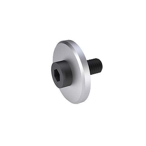 202.53. Rondelle de fixation avec vis a tete cylindrique, ~AFNOR