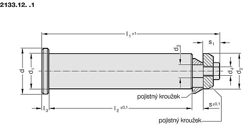2133.12._.1 Nosný čep s pojistným kroužkem pro nosné rameno 2133.12.