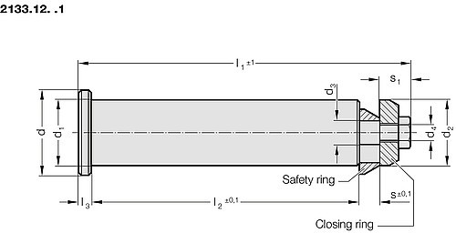 2133.12._.1 Die lifting bolt with safety ring, for lifting flange 2133.12.