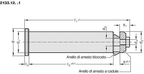 2133.12._.1 Perno di sollevamento con anello cascante di sicurezza, per attacco di sollevamento 2133.12.
