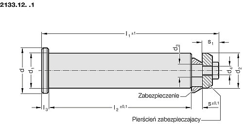 2133.12._.1 Sworzeń nośny z pierścieniem zabezpieczającym do elementów nośnych 2133.12