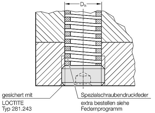 241.00.1. Verschlussschraube (als verstellbarer Federboden)