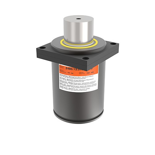 2480.13.07500._.310x Gasdruckfeder, Standard, mit Befestigung, nach FORD-Norm